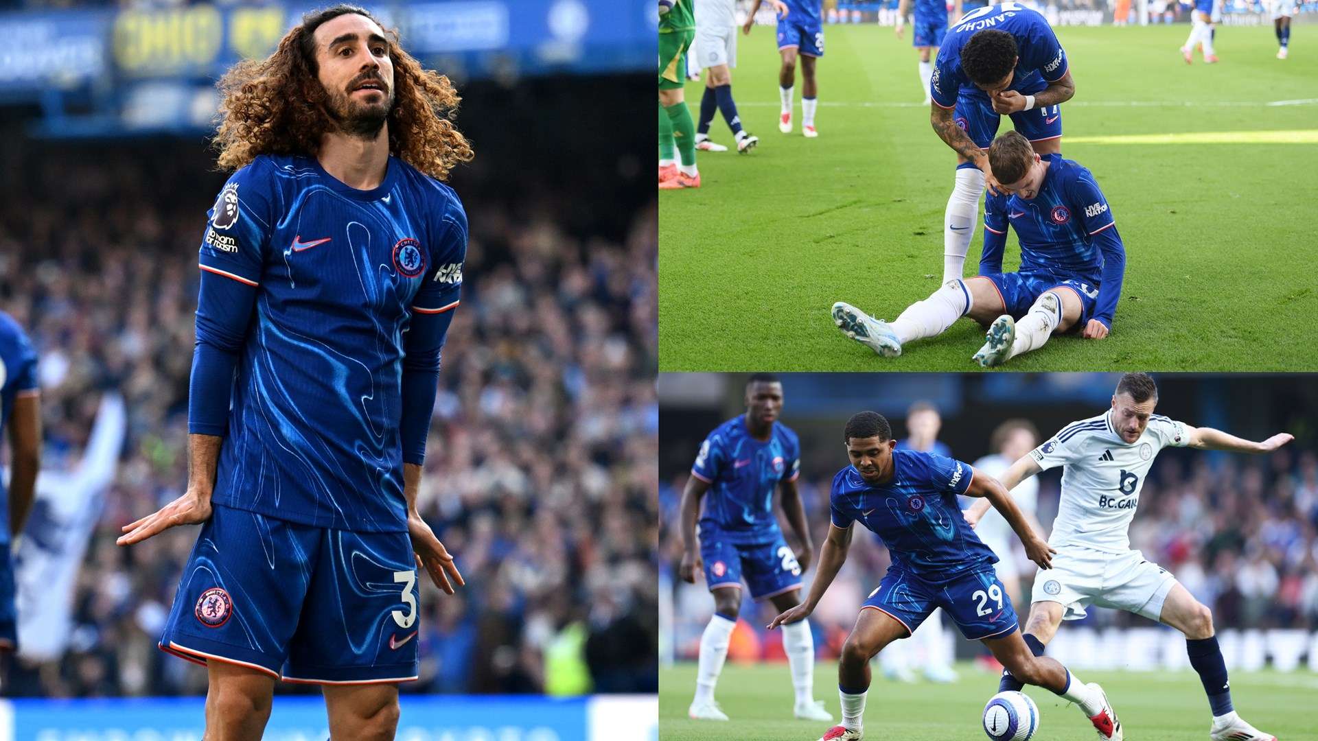 他们的成长 他们的成长