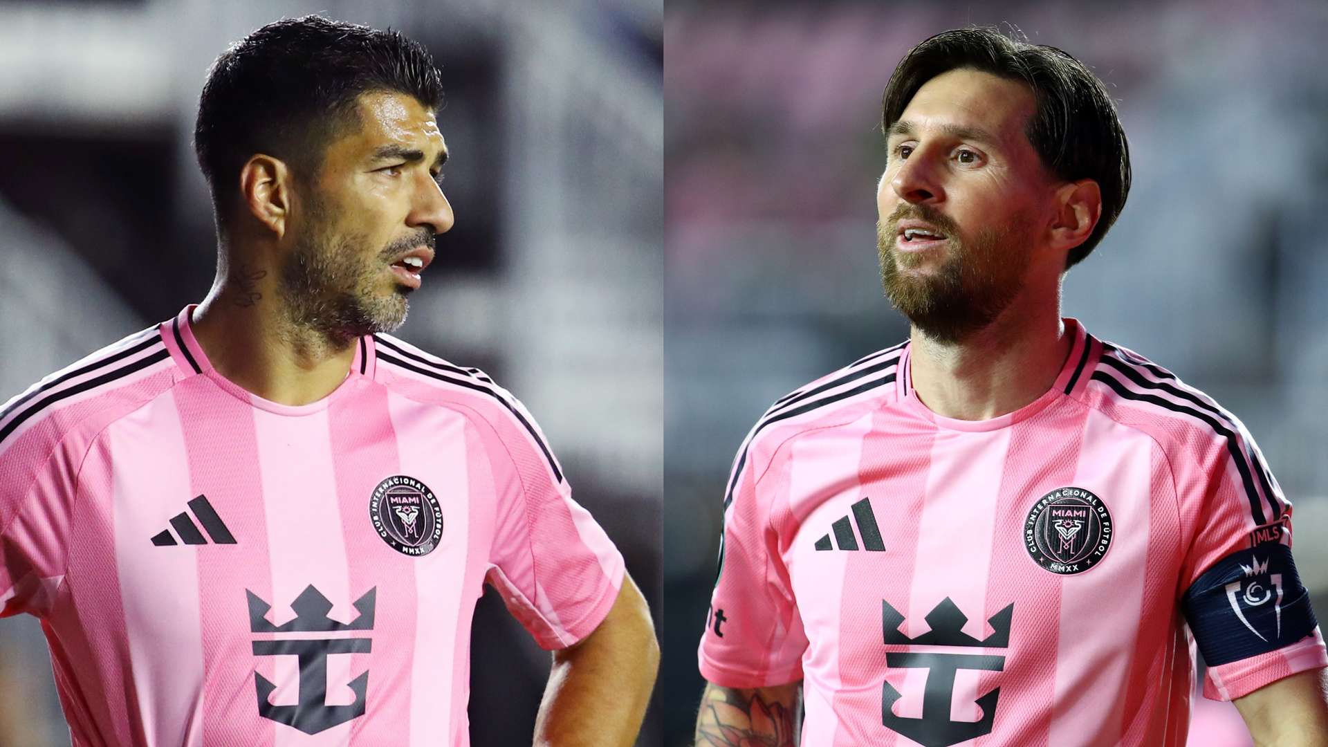 赛的需求 赛的需求