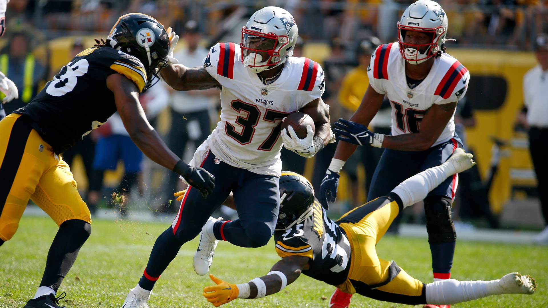 他的执教哲 他的执教哲