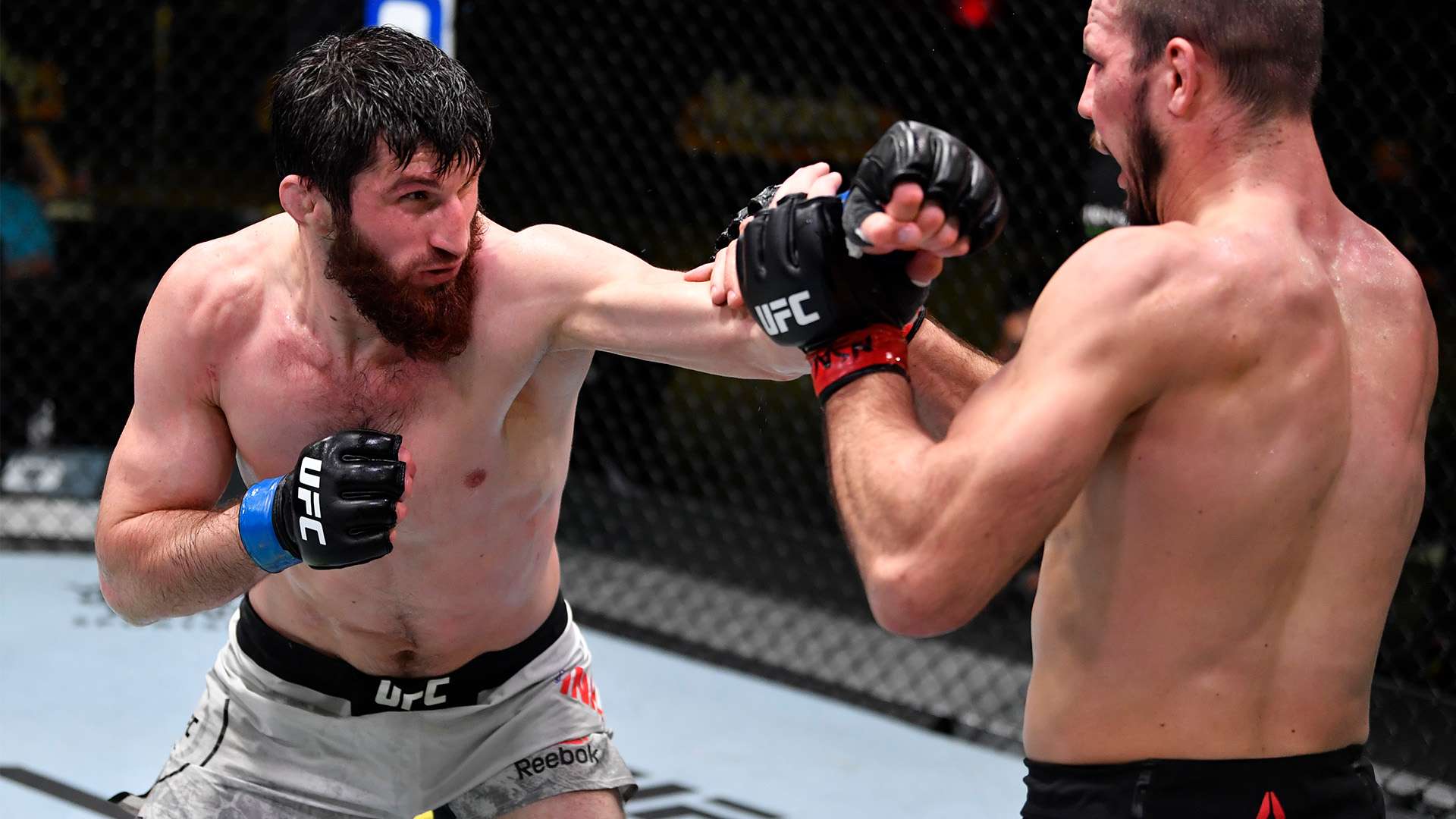 用团队的潜 用团队的潜